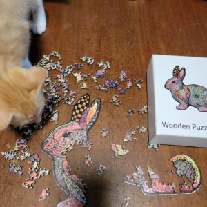 Bunny Jigsaw Puzzle - in pieces