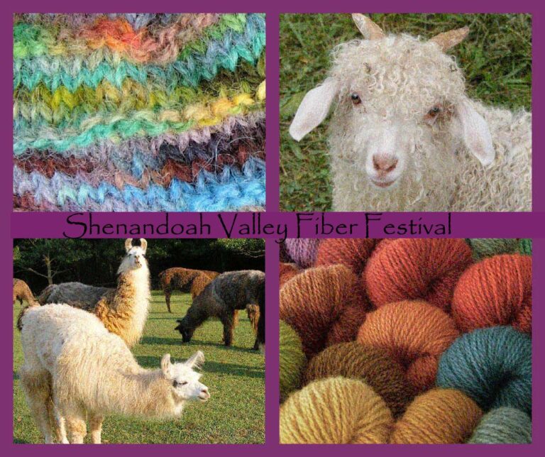 Shenandoah Valley Fiber Festival at Clarke County Ruritan Fairgrounds in Berryville, VA